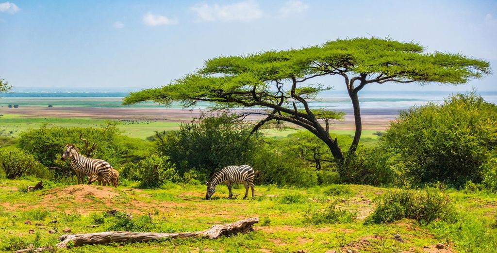 Safari da 3 a 6 notti con estensione all'AHG Hisia Nungwi Hotel 4*