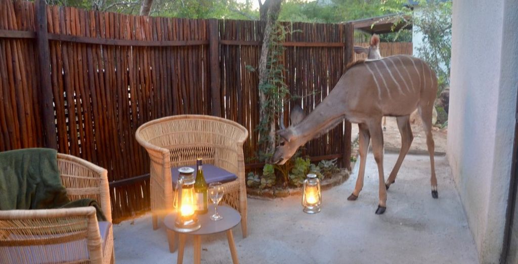 Kholiwe on Kruger Lodge 4*