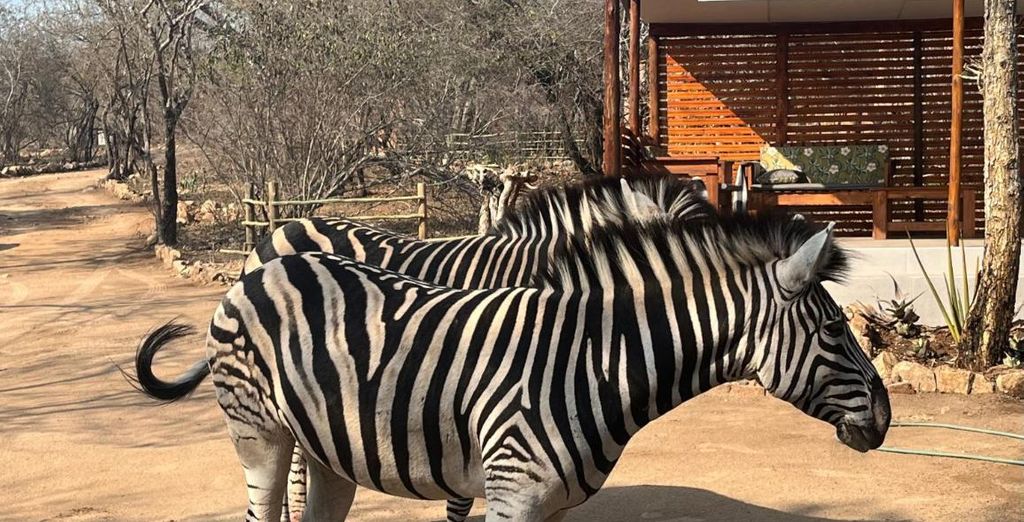 Kholiwe on Kruger Lodge 4*