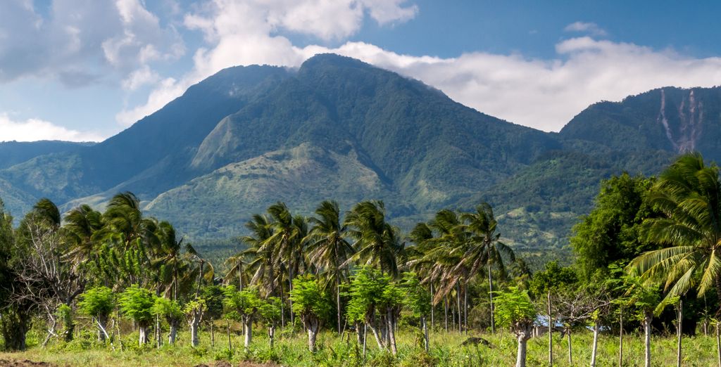 Tour privato: Le Visayas, tra risaie e spiagge turchesi