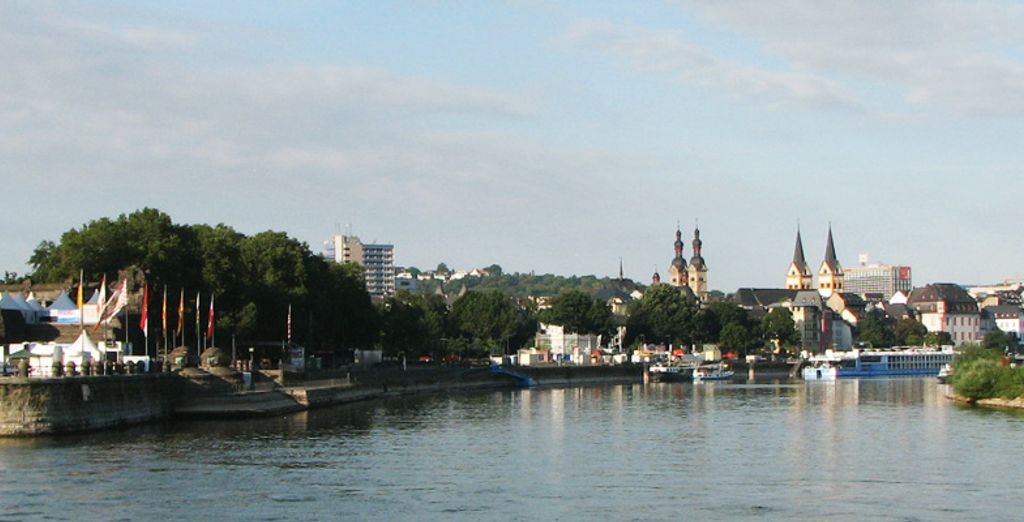 Crucero fluvial de 4 noches por el Rin y Mosela