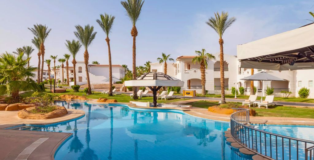 À la découverte de la Mer Rouge au Jaz Dreams 5*