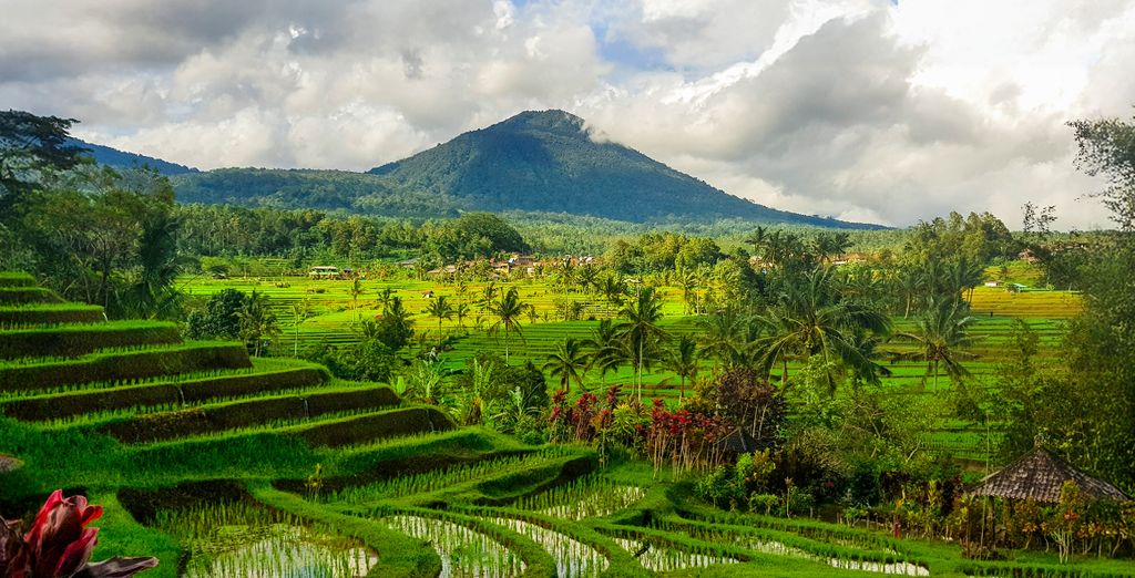 E Sanctuary Resort Ubud 5* e Avani Seminyak Bali Resort 5*