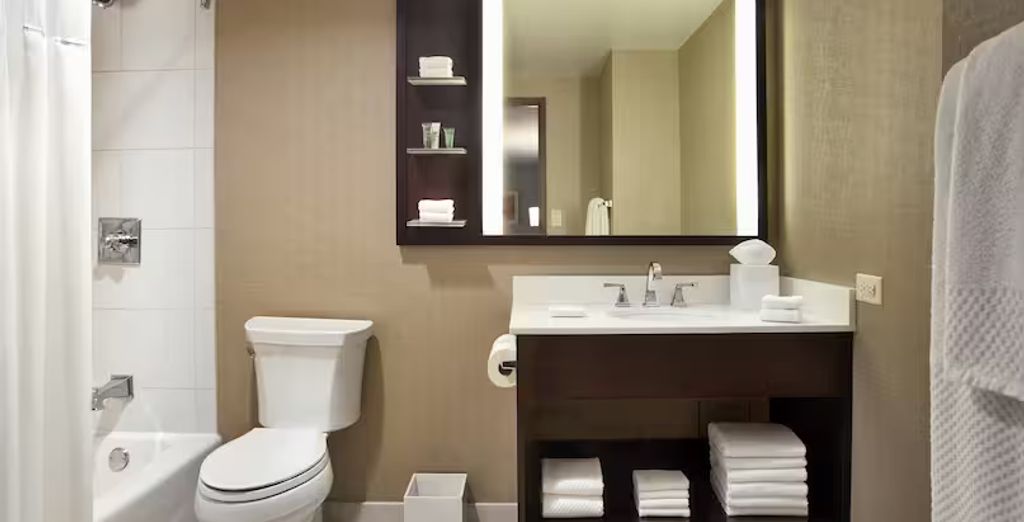 Millennium Hilton New York One UN Plaza 4* con possibile estensione all'Hilton Chicago 4*