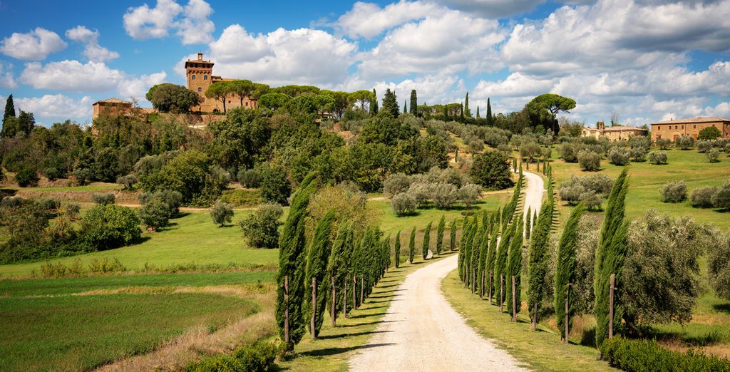 Circuito en libertad: La Toscana y Cinque Terre en 4, 5 o 7 noches