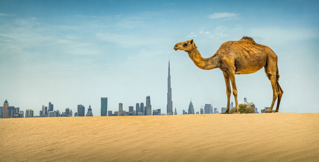 Grand Hyatt Dubai 5*