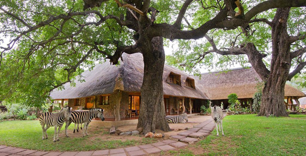Autotour : De Johannesburg à Durban & Le Cap