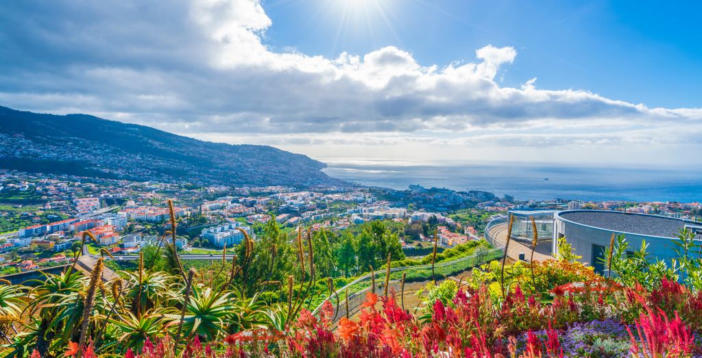 Tour di gruppo: L'eterna primavera portoghese