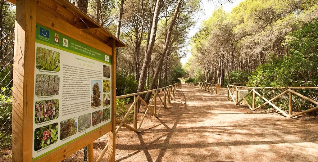 Torreserena Resort  4*