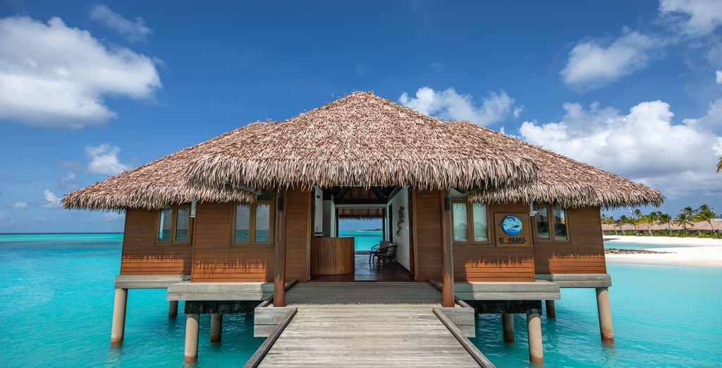 Grand Hyatt Abu Dhabi Hotel & Residences Emirates Pearl 5* e Barceló Whale Lagoon Maldives 5*