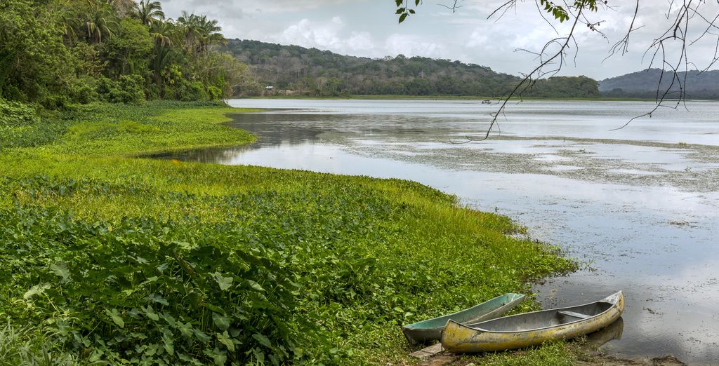 Tour di gruppo: Giungla, spiagge e città di Panamá
