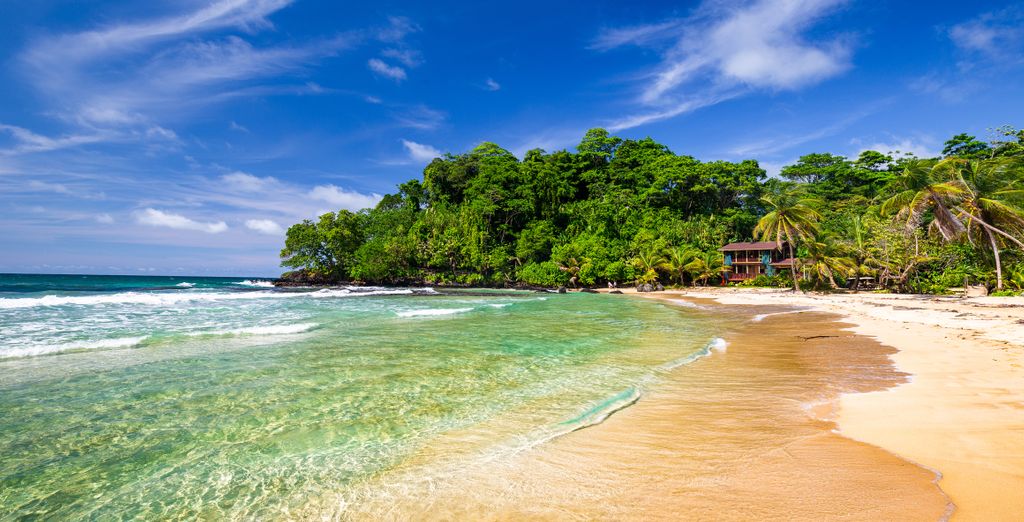 Circuito en libertad: Selva, playa y ciudad de Panamá en 7 o 9 noches