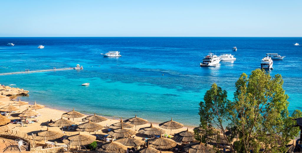 Royal Grand Sharm Resort 5* - Adults Only