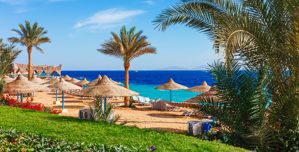 Royal Grand Sharm Resort 5* - Adults Only