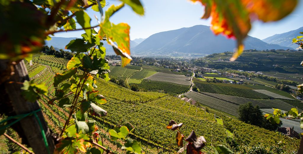 SOLEA Südtirol Boutique Hotel 4*