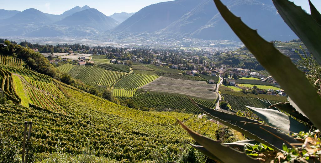 SOLEA Südtirol Boutique Hotel 4*