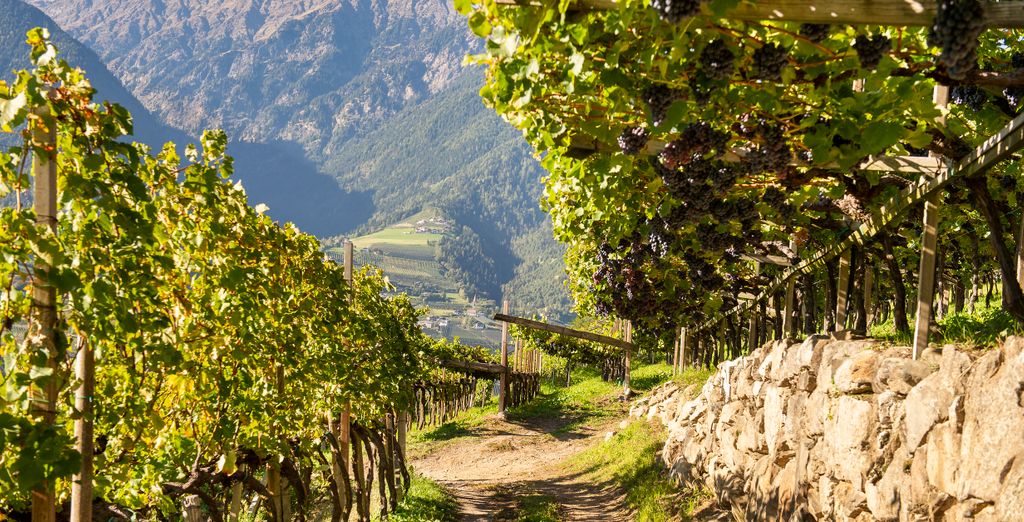 SOLEA Südtirol Boutique Hotel 4*