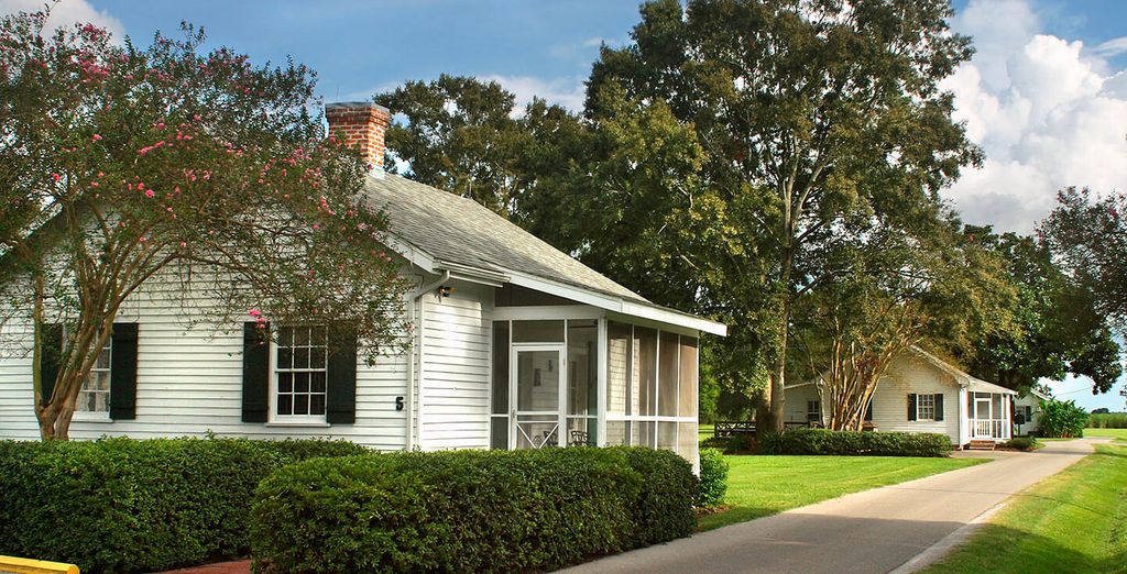 Tour in auto: Alla scoperta della Louisiana