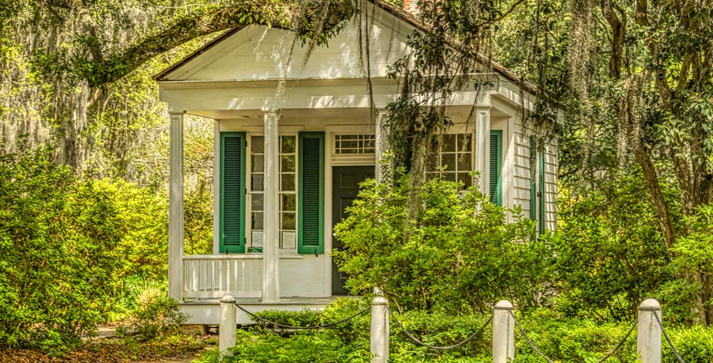 Tour in auto: Alla scoperta della Louisiana