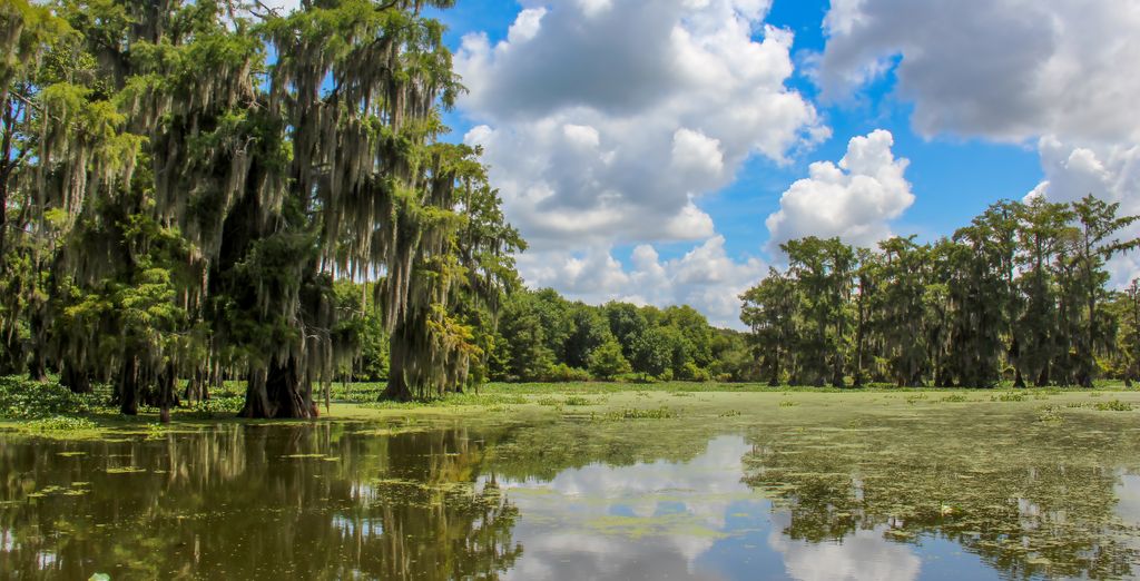 Tour in auto: Alla scoperta della Louisiana