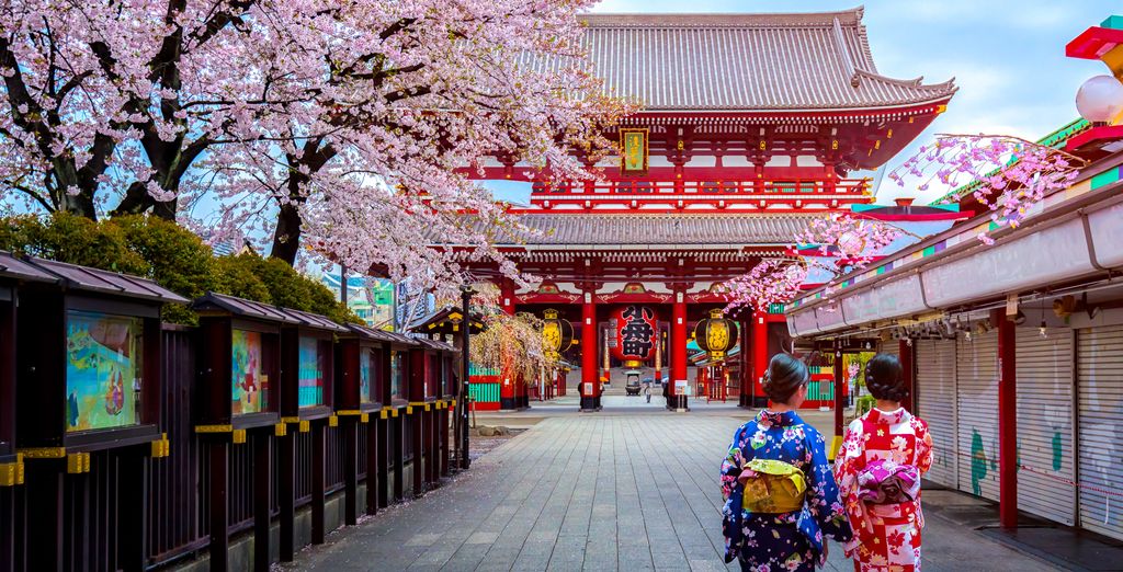 Circuit en liberté : Les essentiels du Japon