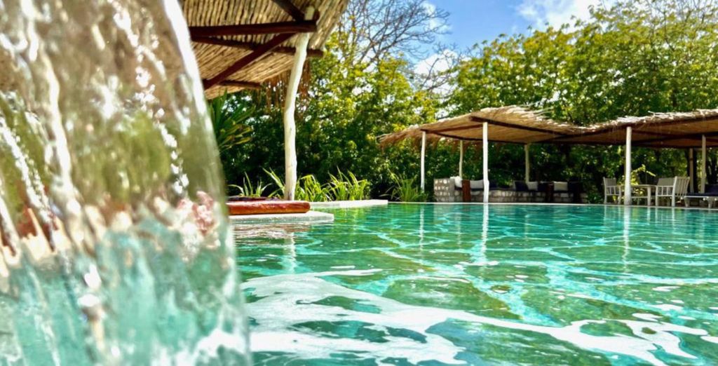 Rock & Sea Bubble Ecolodge 4* con safari da 1 a 3 notti