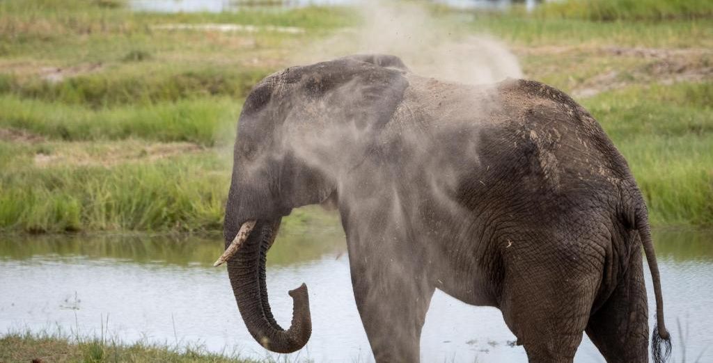 Tour: Immersione nella natura incontaminata