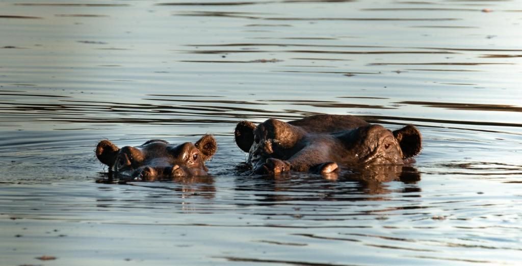 Tour: Immersione nella natura incontaminata