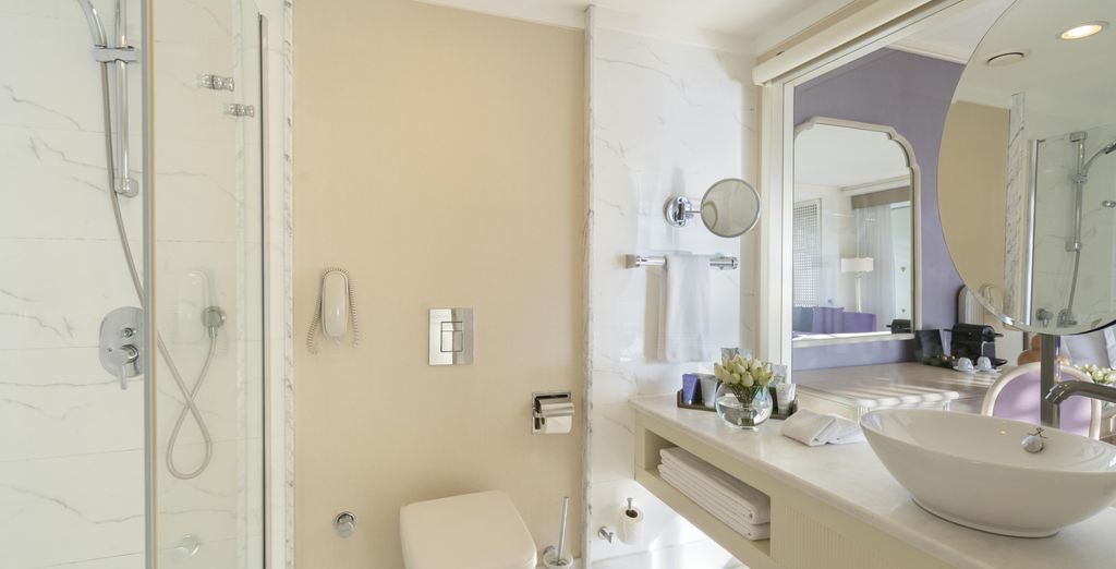 Hôtel Rixos Downtown 5*