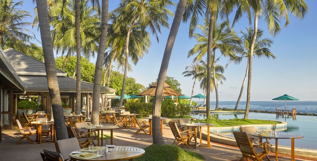 Tour privato: Viaggio a Ceylon ed estensione al mare alle Maldive