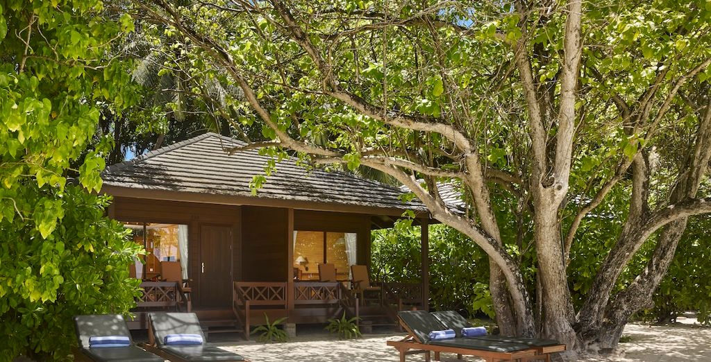 Tour privato: Viaggio a Ceylon ed estensione al mare alle Maldive
