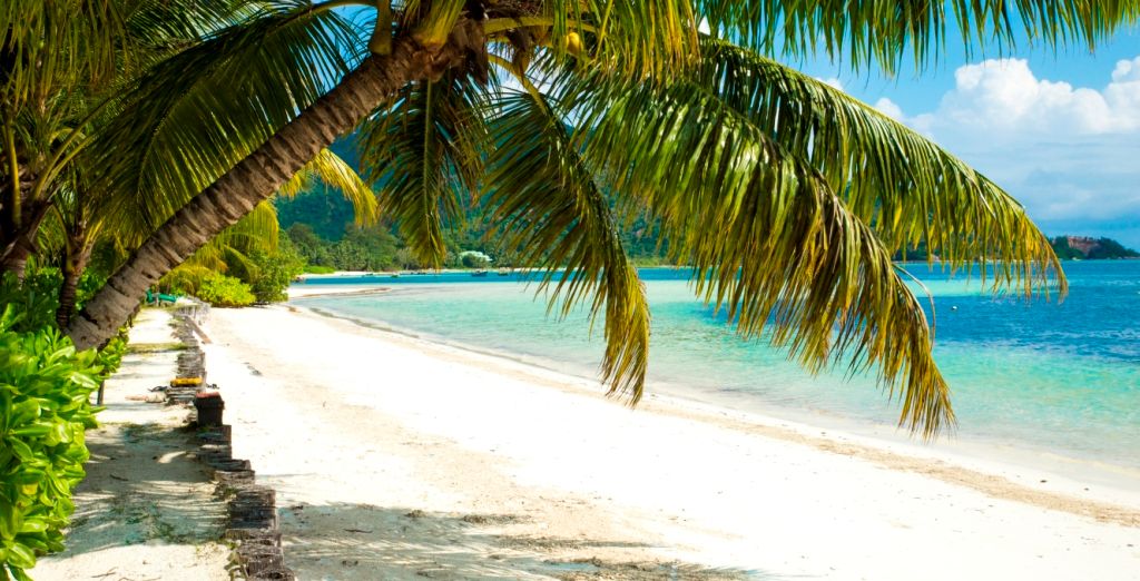 Indian Ocean Lodge con possibile estensione al Carana Beach Hotel 4*
