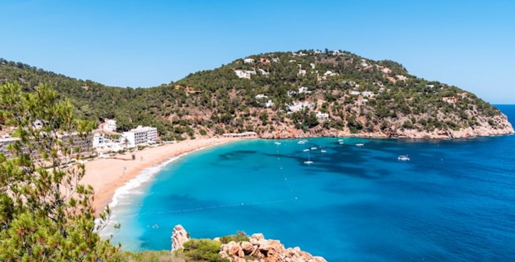Aparthotel Marina Drach