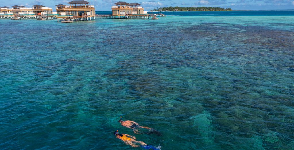 Angsana Velavaru 5*