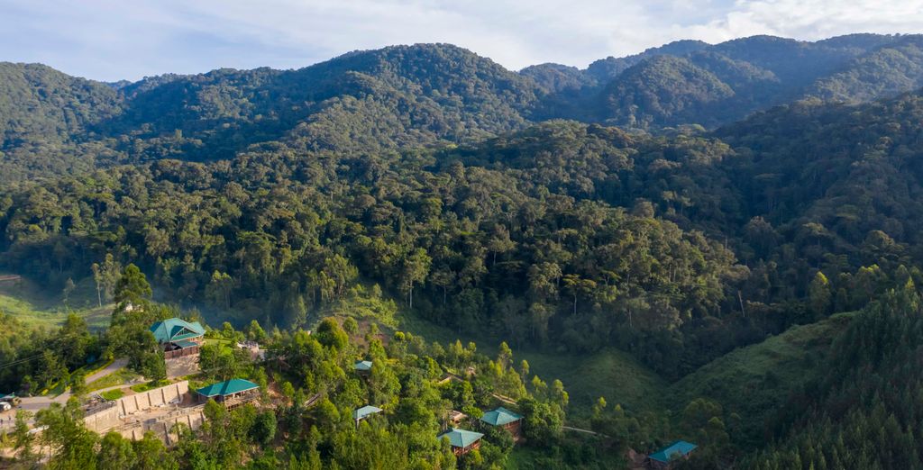 Tour privato: Perla d'Africa con permesso per l'osservazione dei gorilla