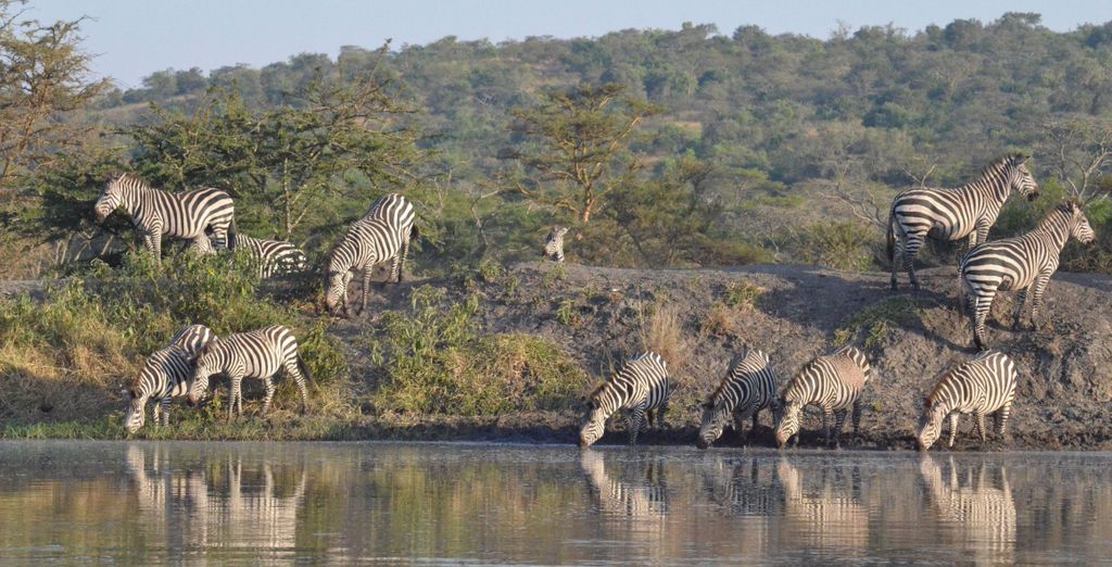 Tour privato: Perla d'Africa con permesso per l'osservazione dei gorilla