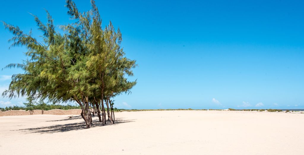 Ocean Beach Resort & Spa 5* con safari da 1 a 4 notti 