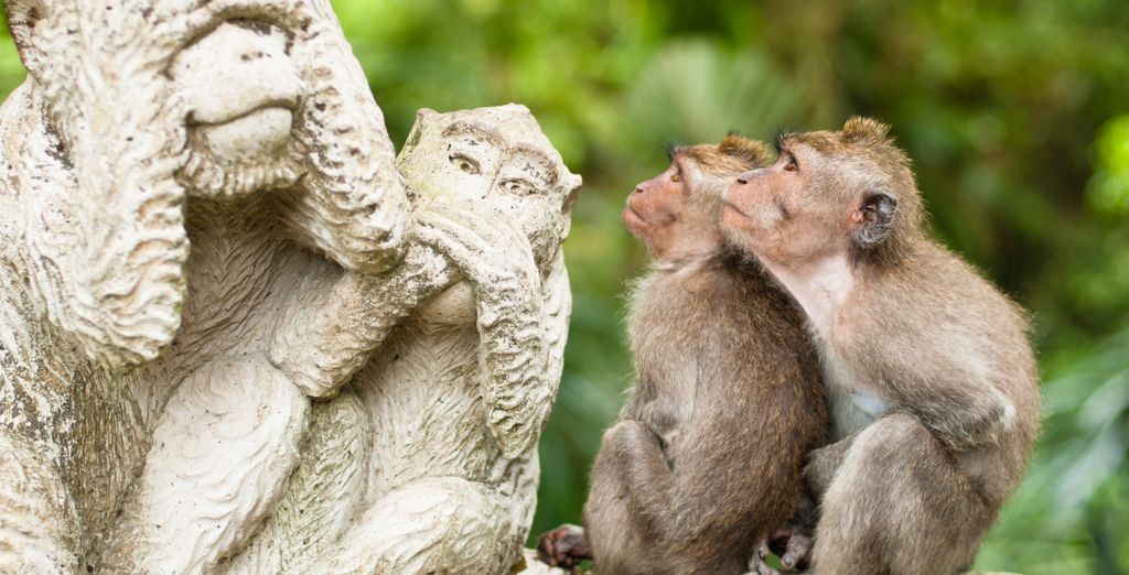 Soggiorno in libertà: Templi, spiagge ed eleganza tropicale