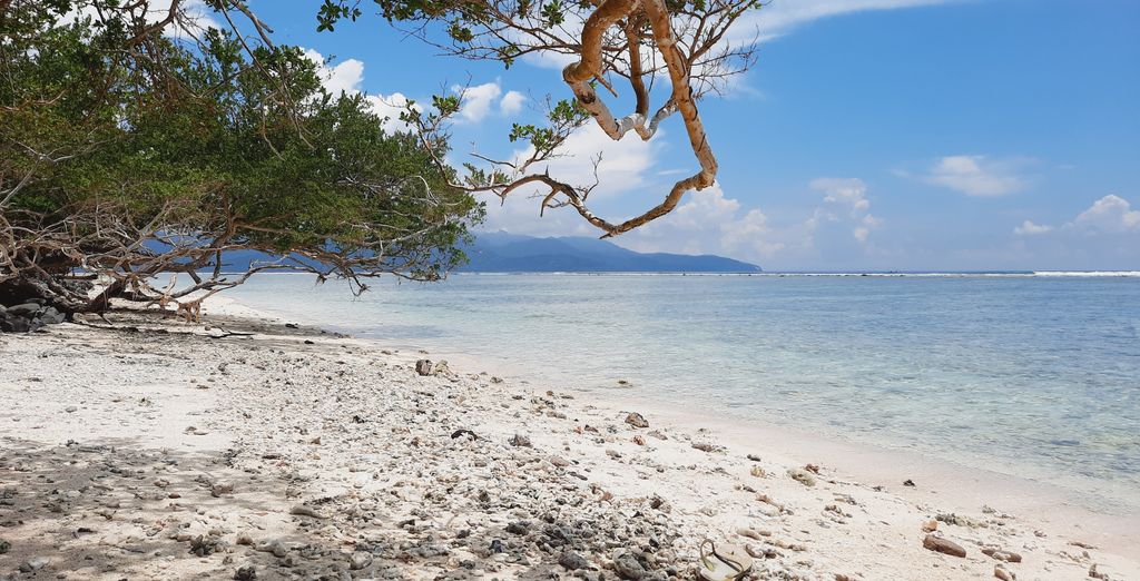 Soggiorno in libertà: Templi, spiagge ed eleganza tropicale