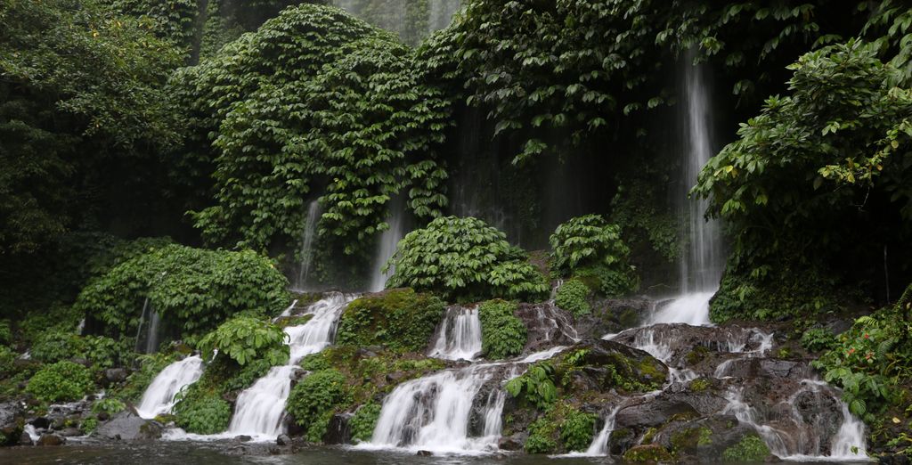 Soggiorno in libertà: Templi, spiagge ed eleganza tropicale