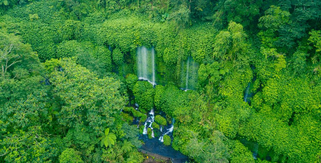 Soggiorno in libertà: Templi, spiagge ed eleganza tropicale