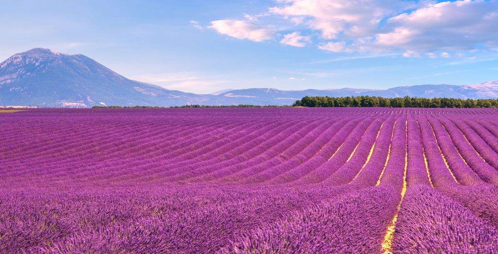 Hotel Mercure Aix-en-Provence Beaumanoir 4* e Hotel Villa Borghese 4*