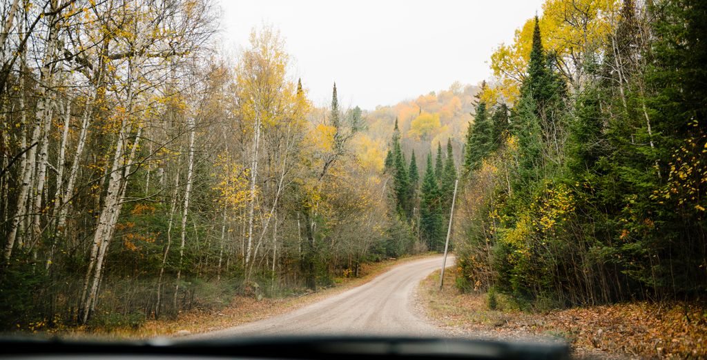 Tour in auto: Il meglio del Quebec e Ontario