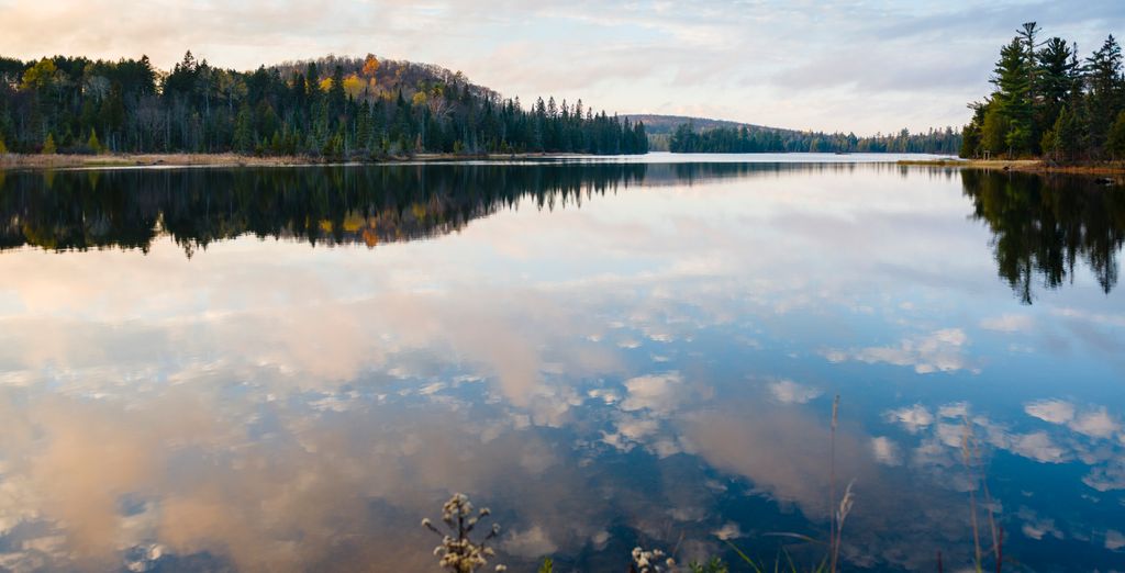 Tour in auto: Il meglio del Quebec e Ontario