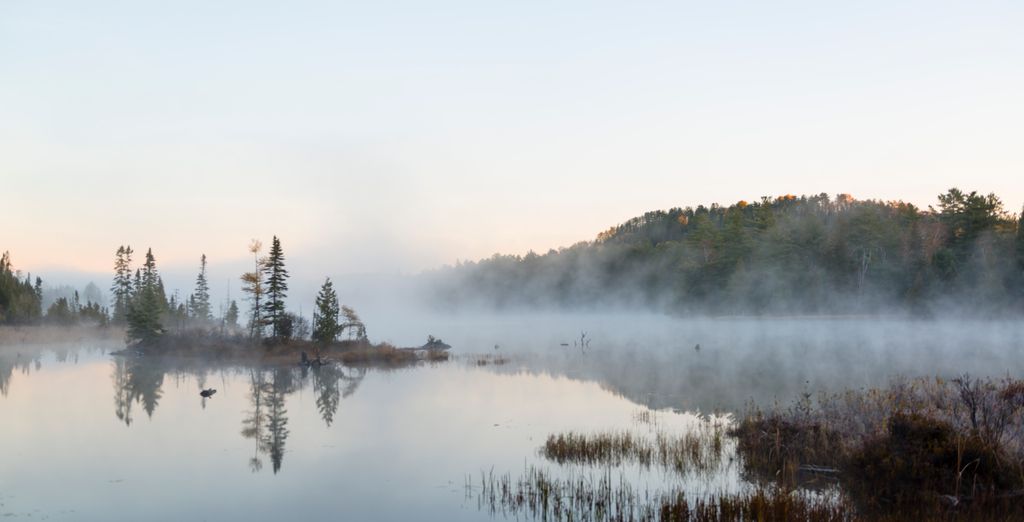 Tour in auto: Il meglio del Quebec e Ontario