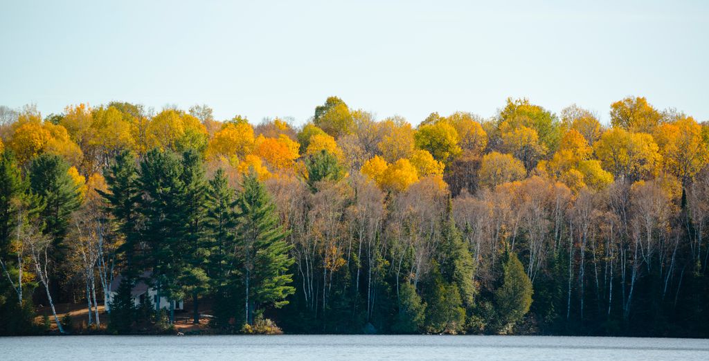 Tour in auto: Il meglio del Quebec e Ontario