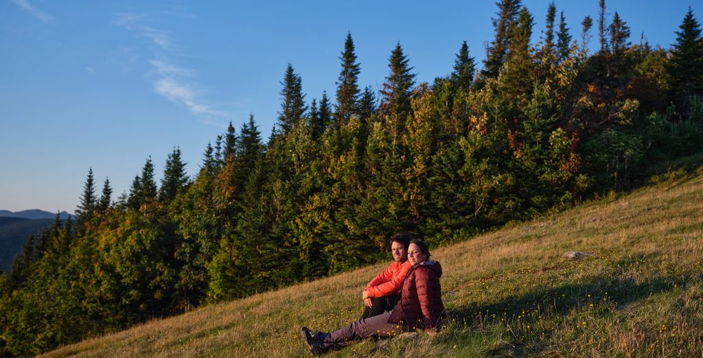 Tour in auto: Il meglio del Quebec e Ontario
