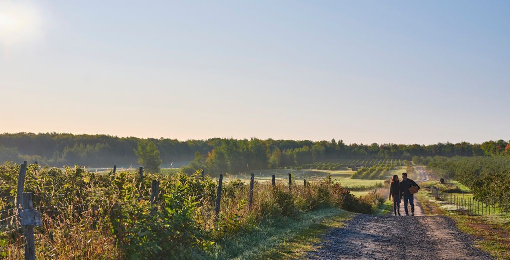 Tour in auto: Il meglio del Quebec e Ontario