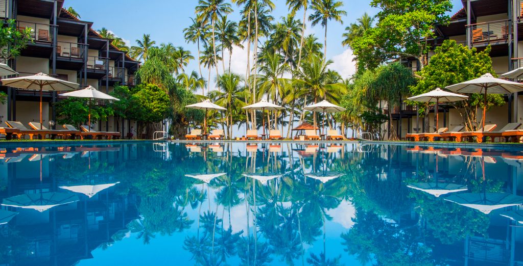 Circuit privé : Les merveilles du Sri Lanka et séjour balnéaire en tout inclus