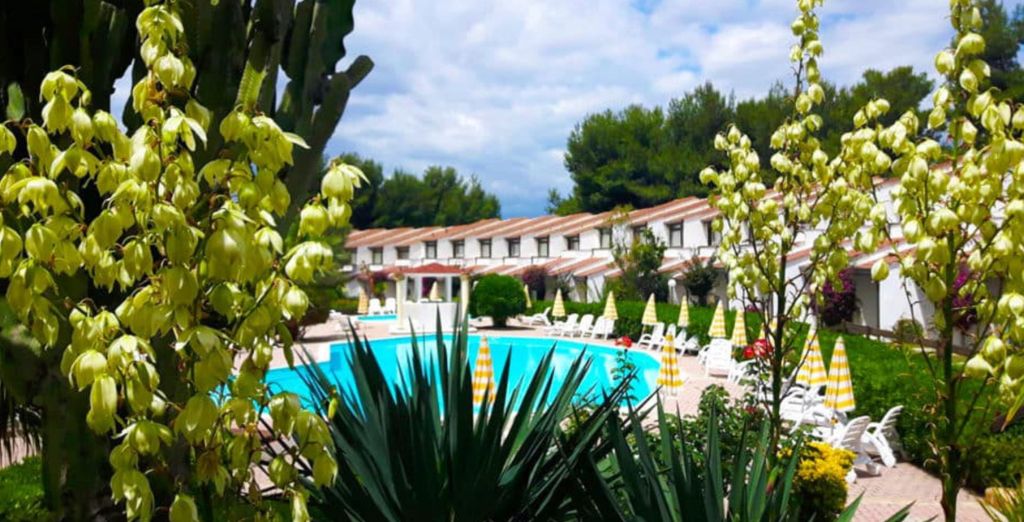 Hotel 4*